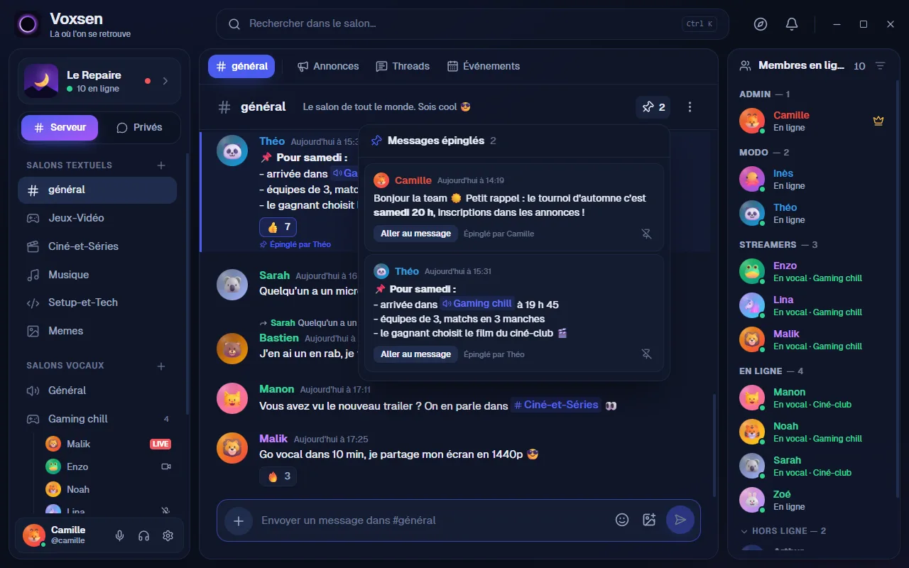 Le salon général de Voxsen avec la liste des messages épinglés ouverte.